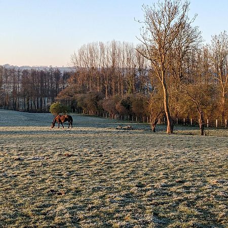 Hotel Le Haras d Havetot Anctoville Exterior foto